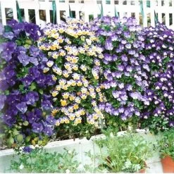 Silverline Tools Hanging Flower Plant Growing Tube Bags Twin Pack 264904 -CLEANING PRODUCTS Shop 4528 800x800 1