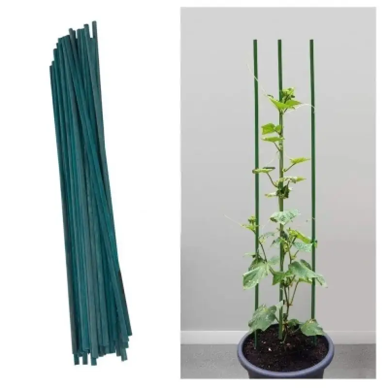 Silverline Tools Silverline Green Bamboo Garden Plant Support 300mm 50pk 688506 3 Silverline Tools Silverline Green Bamboo Garden Plant Support 300mm 50pk 688506