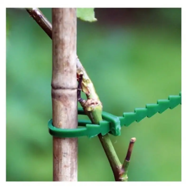 Silverline Tools Silverline Garden Plant Adjustable Green Ties 197535 4 Silverline Tools Silverline Garden Plant Adjustable Green Ties 197535 - Image 2