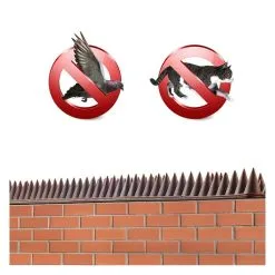 Am-Tech Amtech Pest & Security Intruder Prickle Spikes Fence Wall Deterrent Brown S1606 12 Am-Tech Amtech Pest & Security Intruder Prickle Spikes Fence Wall Deterrent Brown S1606 -CLEANING PRODUCTS Shop Brown Fence Wall Spikes Garden Security Intruder Bird Cat Repellent Burglar 4 800x800 1