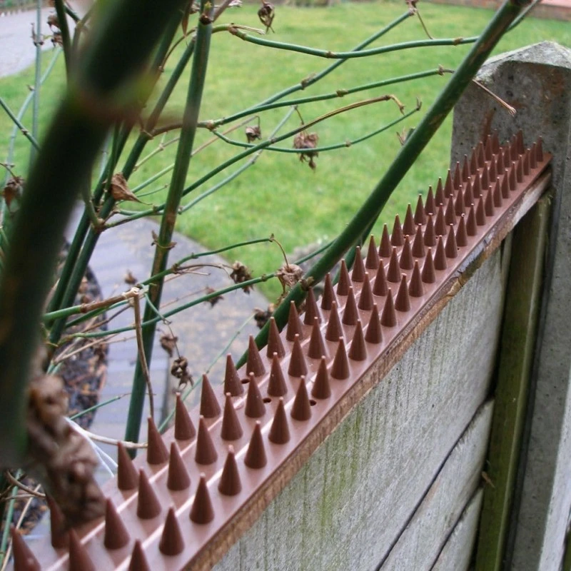 Am-Tech Amtech Pest & Security Intruder Prickle Spikes Fence Wall Deterrent Brown S1606 9 Am-Tech Amtech Pest & Security Intruder Prickle Spikes Fence Wall Deterrent Brown S1606 - Image 7