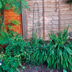 Kingfisher Garden Pyramid Obelisk Plant Metal Wire Support Frame 48 Inch PGS48 -CLEANING PRODUCTS Shop Kingfisher pyramid garden wire obelisk 48 inch 3 ring pgs48 3 demonstration 800x800 1