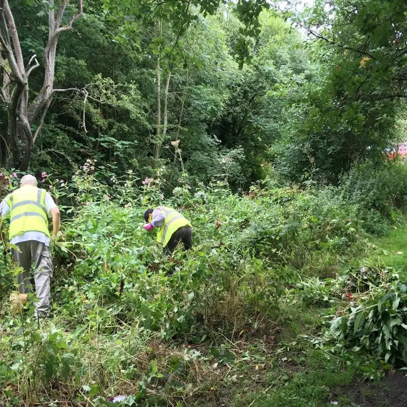 Am-Tech Amtech Garden Machete And Sheath Weed Slasher R2240 7 Am-Tech Amtech Garden Machete And Sheath Weed Slasher R2240 - Image 5