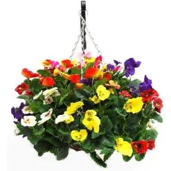 Doff Wool And Moss Hanging Flower Basket Liner Water Retainer DP1026 -CLEANING PRODUCTS Shop doff container and basket feed concentrated plant food pansy 800x800 1