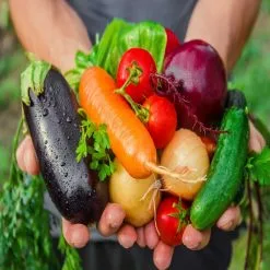 Doff Green Fingers Organic Multi-Purpose Concentrated Plant Feed 900ml F-JC-900-DGF -CLEANING PRODUCTS Shop doff green fingers organic multi purpose liquid garden plant feed f jc 900 dgf vegetables 800x800 1