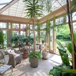 Doff House Plant Concentrated Liquid Feed 180ml FYE180DOF -CLEANING PRODUCTS Shop doff house plant concentrated feed f ye 180 dof plants inside an orangery 800x800 1