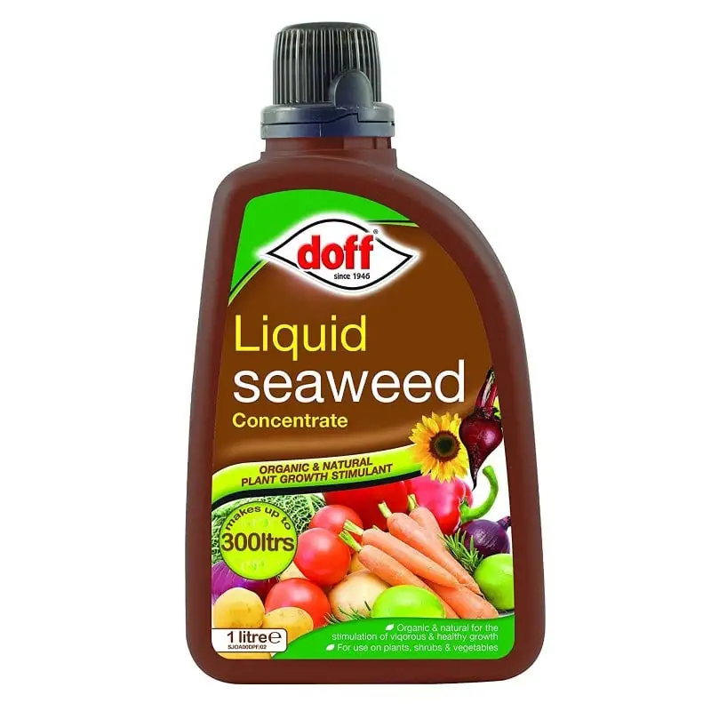 Doff Garden Seaweed Plant Feed All Purpose Liquid Fertiliser 1 Litre 3 Doff Garden Seaweed Plant Feed All Purpose Liquid Fertiliser 1 Litre