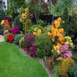 Doff Garden Seaweed Plant Feed All Purpose Liquid Fertiliser 1 Litre 13 Doff Garden Seaweed Plant Feed All Purpose Liquid Fertiliser 1 Litre -CLEANING PRODUCTS Shop doff liquid seaweed garden plant fertiliser feed plant food border feed 800x800 1