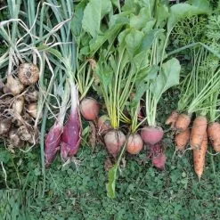 Doff Garden Seaweed Plant Feed All Purpose Liquid Fertiliser 1 Litre 18 Doff Garden Seaweed Plant Feed All Purpose Liquid Fertiliser 1 Litre -CLEANING PRODUCTS Shop doff liquid seaweed garden plant fertiliser feed plant food garden feed root crops 800x800 1