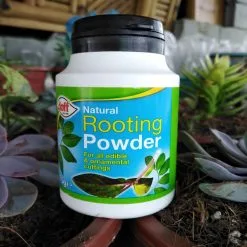Doff Natural Plant Root Rooting Powder 75g FKE075DFF -CLEANING PRODUCTS Shop doff natural plant rooting powder f ke 075 dff 4 800x800 1