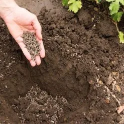 Doff Organic Pelleted Chicken Manure Garden Plant Fertiliser 2.25kg -CLEANING PRODUCTS Shop doff organic chicken manure garden plant fertiliser f mp b25 dof 01 to soil 800x800 1