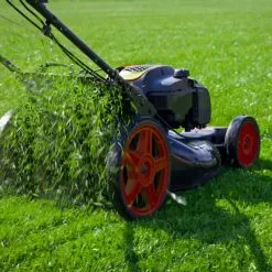 Doff Power Up Superfast Lawn Grass Seed NITRO-COAT 1kg F-LQ-A00-DPU 16 Doff Power Up Superfast Lawn Grass Seed NITRO-COAT 1kg F-LQ-A00-DPU -CLEANING PRODUCTS Shop doff power up superfast lawn grass seed nitro coat 2 first cut 800x800 1