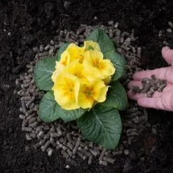 Doff Slugs Be Gone 3 In 1 Wool Pellets Pesticide Free Slug Deterrent 1 Litre DP1096 -CLEANING PRODUCTS Shop doff slugs be gone wool pellets demo 3 800x800 1