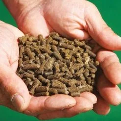 Doff Slugs Be Gone 3 In 1 Wool Pellets Pesticide Free Slug Deterrent 1 Litre DP1096 -CLEANING PRODUCTS Shop doff slugs be gone wool pellets demo 800x800 1