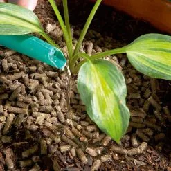 Doff Slugs Be Gone 3 In 1 Wool Pellets Pesticide Free Slug Deterrent 1 Litre DP1096 -CLEANING PRODUCTS Shop doff slugs be gone wool pellets no pesticide 1 litre dp1096 retains moisture 800x800 1