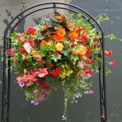 Doff Wool And Moss Hanging Flower Basket Liner Water Retainer DP1026 -CLEANING PRODUCTS Shop doff wool and moss hanging flower basket liner water retainer dp1026 basket 800x800 1