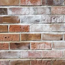 Everbuild Salt Away Removes Salt Efflorescence 1 Litre SALT1 Treatment 11 Everbuild Salt Away Removes Salt Efflorescence 1 Litre SALT1 Treatment -CLEANING PRODUCTS Shop efflorescence on brick20wall 800x800 1