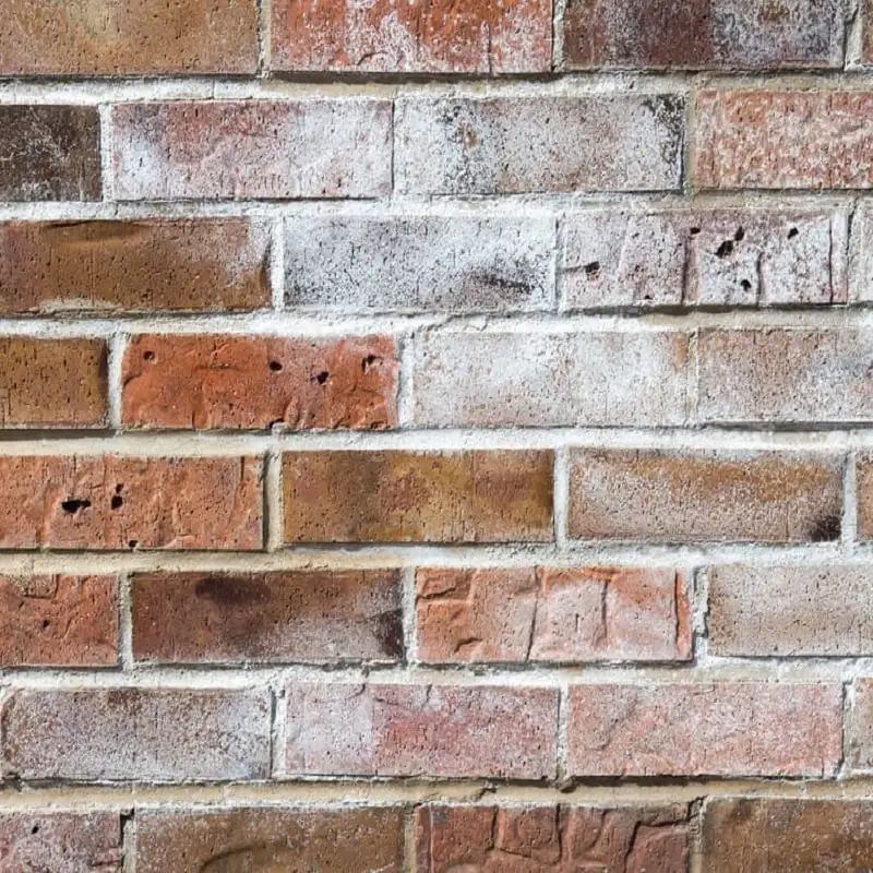 Everbuild Salt Away Removes Salt Efflorescence 5 Litre SALT5 5 Everbuild Salt Away Removes Salt Efflorescence 5 Litre SALT5 - Image 3