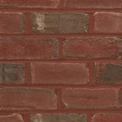 Everbuild 208 - 24 X 1kg Powder Mortar Tone Colouring Bulk Deal -CLEANING PRODUCTS Shop everbuild 208 powder mortar tone red 1kg 800x800 1