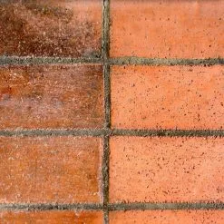 Everbuild 401 Brick And Patio Cleaner 5 Litre Box Of 4 13 Everbuild 401 Brick And Patio Cleaner 5 Litre Box Of 4 -CLEANING PRODUCTS Shop everbuild 401 brick and patio cleaner 5 litre bc5l application brick 800x800 2