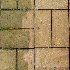 Everbuild 401 Brick And Patio Cleaner 5 Litre Box Of 4 14 Everbuild 401 Brick And Patio Cleaner 5 Litre Box Of 4 -CLEANING PRODUCTS Shop everbuild 401 brick and patio cleaner 5 litre bc5l pavers 800x800 2