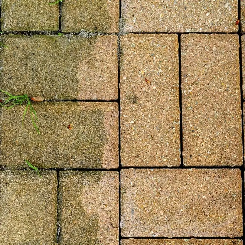 Everbuild 401 Brick And Patio Cleaner 5 Litre Box Of 4 8 Everbuild 401 Brick And Patio Cleaner 5 Litre Box Of 4 - Image 6