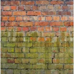 Everbuild 404 Fungicidal Wash Moss Mould Remover 1 Litre Spray FUN1 -CLEANING PRODUCTS Shop everbuild 404 fungicidal wash moss mould remover brickwork 800x800 1