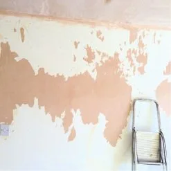 Everbuild 406 Stabilising Solution 5 Litre STAB5 Box Of 4 Trade Option 15 Everbuild 406 Stabilising Solution 5 Litre STAB5 Box Of 4 Trade Option -CLEANING PRODUCTS Shop everbuild 406 stabilising solution flaking internal painted walls 800x800 1