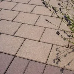 Everbuild 409 Block Guard Paving Sealer 25L BLOCKGUARD25 14 Everbuild 409 Block Guard Paving Sealer 25L BLOCKGUARD25 -CLEANING PRODUCTS Shop everbuild 409 block guard block paving sealer 5 litre blockguard5 driveway 800x800 1