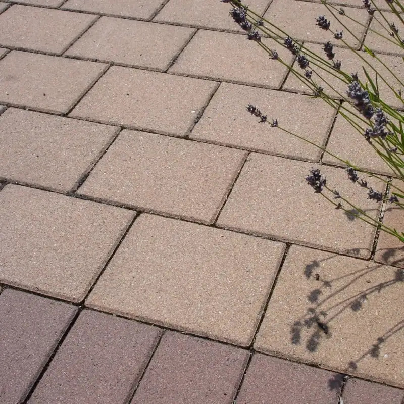 Everbuild 409 Block Guard Paving Sealer 5L BLOCKGUARD5 Box Of 4 7 Everbuild 409 Block Guard Paving Sealer 5L BLOCKGUARD5 Box Of 4 - Image 5