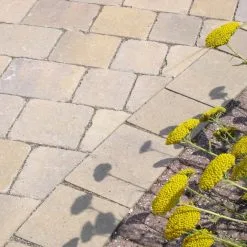 Everbuild 409 Block Guard Paving Sealer 5L BLOCKGUARD5 Box Of 4 16 Everbuild 409 Block Guard Paving Sealer 5L BLOCKGUARD5 Box Of 4 -CLEANING PRODUCTS Shop everbuild 409 block guard block paving sealer 5 litre blockguard5 sand stabiliser 800x800 3