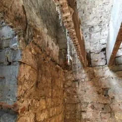 Everbuild Lumberjack Masonry Dry Rot Treatment 5 Litre Box Of 4 20 Everbuild Lumberjack Masonry Dry Rot Treatment 5 Litre Box Of 4 -CLEANING PRODUCTS Shop everbuild lumberjack masonry dry rot treatment 5 litre dry rot masonry 800x800 2