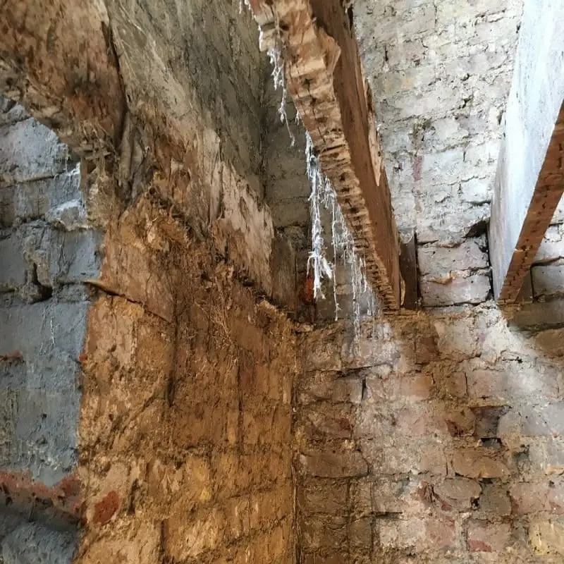 Everbuild Lumberjack Masonry Dry Rot Treatment 5 Litre Box Of 4 10 Everbuild Lumberjack Masonry Dry Rot Treatment 5 Litre Box Of 4 - Image 8