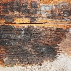 Everbuild Lumberjack Masonry Dry Rot Treatment 5 Litre LJROT05 -CLEANING PRODUCTS Shop everbuild lumberjack masonry dry rot treatment 5 litre dry rot timber 800x800 1