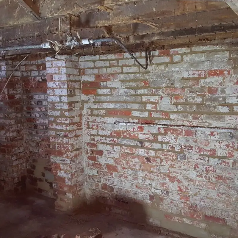 Everbuild Lumberjack Masonry Dry Rot Treatment 5 Litre Box Of 4 11 Everbuild Lumberjack Masonry Dry Rot Treatment 5 Litre Box Of 4 - Image 9