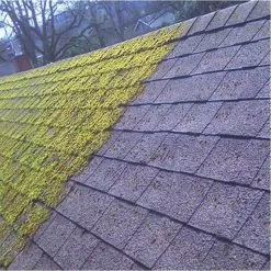 Everbuild Patio Wizard Moss Mould Green Algae Killer 1 Litre PATWIZ1 13 Everbuild Patio Wizard Moss Mould Green Algae Killer 1 Litre PATWIZ1 -CLEANING PRODUCTS Shop everbuild patio wizard moss killer cleaner felt roof tiles demonstration 800x800 1