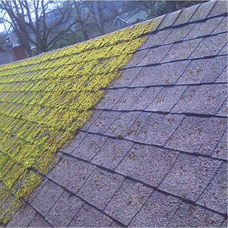 Everbuild Patio Wizard Moss Mould Green Algae Killer 1 Litre PATWIZ1 6 Everbuild Patio Wizard Moss Mould Green Algae Killer 1 Litre PATWIZ1 - Image 4