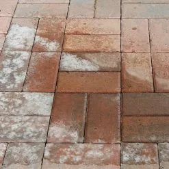 Everbuild Salt Away Removes Salt Efflorescence 1 Litre SALT1 Treatment 13 Everbuild Salt Away Removes Salt Efflorescence 1 Litre SALT1 Treatment -CLEANING PRODUCTS Shop everbuild salt away block pavings treatment demo 2 800x800 1