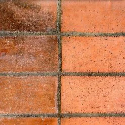 Everbuild Feb Brickclean Brick Concrete And Patio Cleaner 5 Litre FBBRICKCL5 -CLEANING PRODUCTS Shop feb brick clean brickclean fbbrickcl5 brick and patio cleaner terracotta 800x800 1