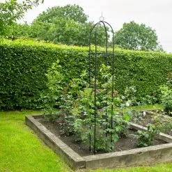 Kingfisher Garden Obelisk Rose Or Climbing Plant Metal Support Frame 1.9m WGO -CLEANING PRODUCTS Shop kingfisher garden obelisk climbing plant rose support wgo garden demo 2 800x800 1