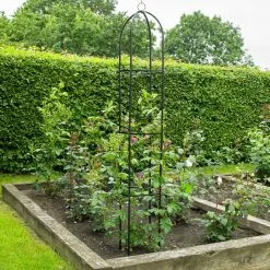 Kingfisher Garden Obelisk Rose Or Climbing Plant Metal Support Frame 1.9m WGO -CLEANING PRODUCTS Shop kingfisher garden obelisk climbing plant rose support wgo garden demo 800x800 1