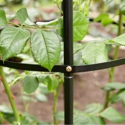 Kingfisher Garden Obelisk Rose Or Climbing Plant Metal Support Frame 1.9m WGO -CLEANING PRODUCTS Shop kingfisher garden obelisk climbing plant rose support wgo garden demo fixings 800x800 1