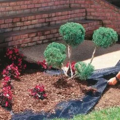 Kingfisher Garden Weed Control Supression Fabric Permeable Membrane WG3 -CLEANING PRODUCTS Shop kingfisher weed control surpression garden fabric membrane wg3 3 800x800 1