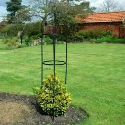 Marksman Metal Garden Obelisk Rose Or Climbing Plant Support Frame 1.9m 70348c 8 Marksman Metal Garden Obelisk Rose Or Climbing Plant Support Frame 1.9m 70348c -CLEANING PRODUCTS Shop marksman obelisk garden plant support climping frame rose 70348c garden demo 800x800 1