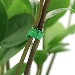 Silverline Tools Silverline Garden Plant Green Tie Wire 30m 633968 -CLEANING PRODUCTS Shop marksman thin garden wire plant ties 70036c 6 800x800 2