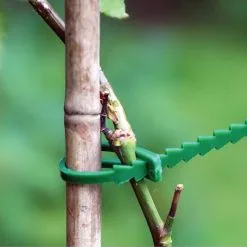 Sealants And Tools Direct Rowan Garden Essential Reusable Green Adjustable Plant Ties 50pk GAR-0822 -CLEANING PRODUCTS Shop rowan garden essential reusable adjustable green plant ties 50pk gar 0822 1 bush to bamboo 800x800 1