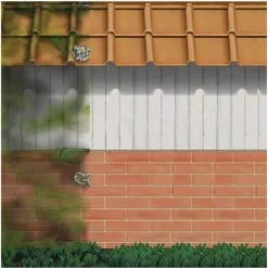 Sika Mould Buster Concentrate Kills Moss Algae Mould 5 Litre SKMBUST5 12 Sika Mould Buster Concentrate Kills Moss Algae Mould 5 Litre SKMBUST5 -CLEANING PRODUCTS Shop sika mould buster mould green algae killer skmbust5 demonstration 800x800 1