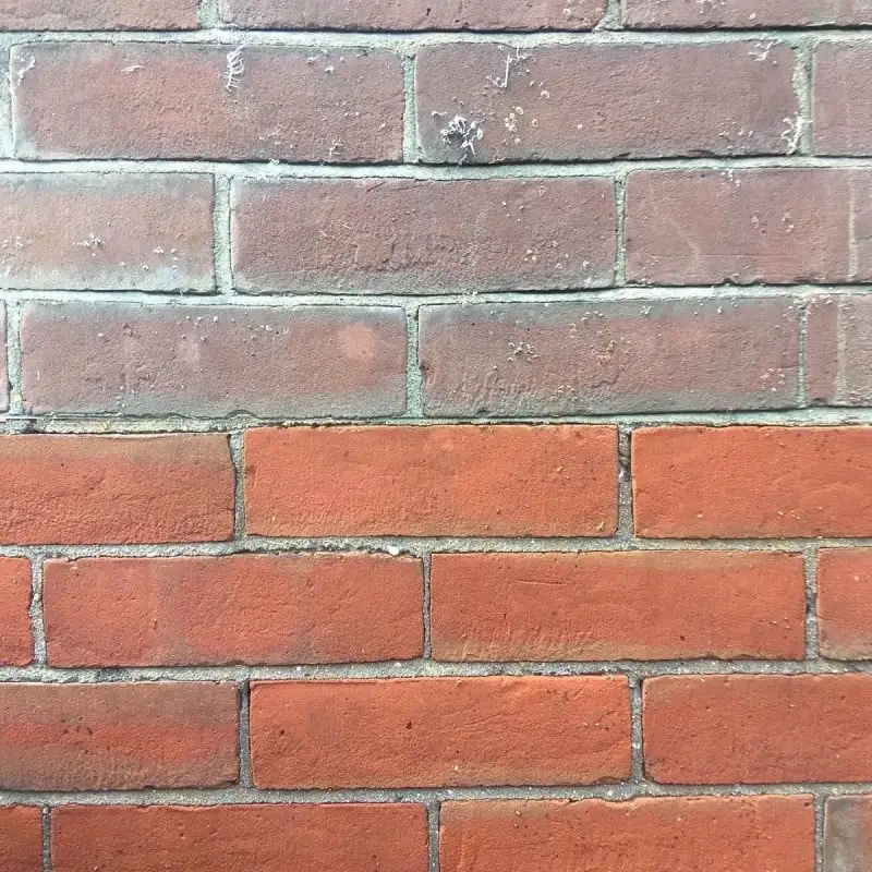 Sika Sikagard 112 Mortar Concrete Cement Stain Remover And Brick Cleaner 5 Litre 7 Sika Sikagard 112 Mortar Concrete Cement Stain Remover And Brick Cleaner 5 Litre - Image 5